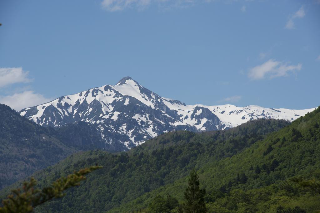 Nakamurakan Takayama  Dış mekan fotoğraf